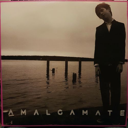 Amalgamate - Piet Starrett